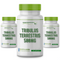 3 Potes Tribulus Terrestris 500mg 60 Cápsulas cada